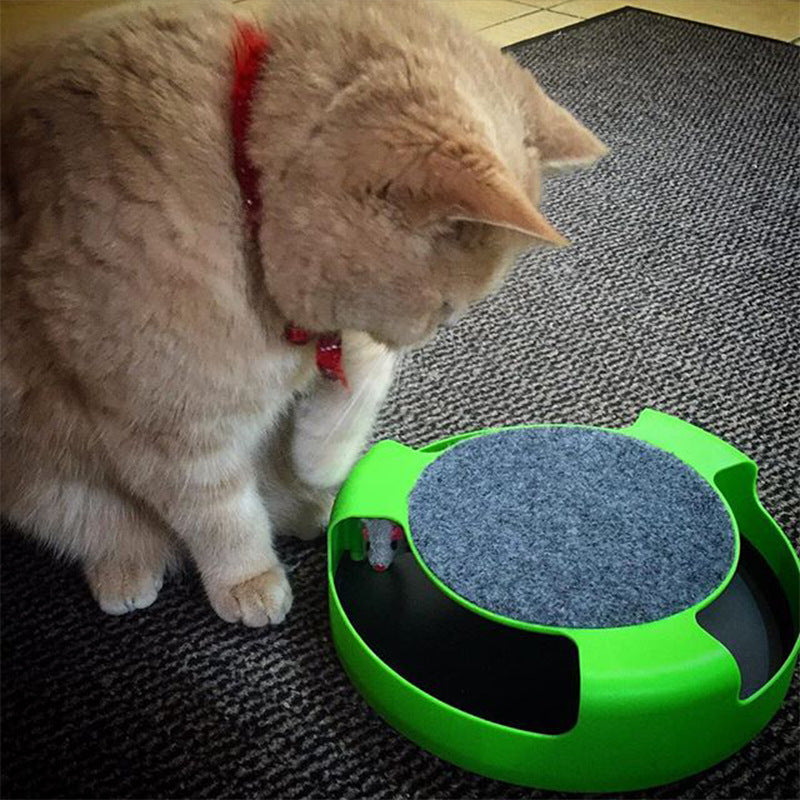Jouet souris interactif griffoir intégré chat Miaousse