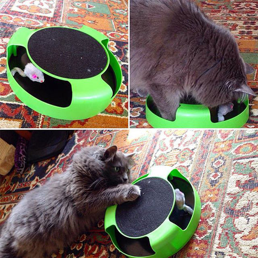 Jouet souris interactif griffoir intégré chat Miaousse