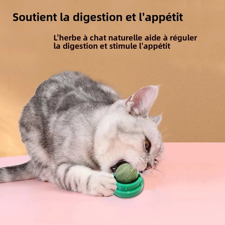 Balle rotative herbe à chat détail 4 — Miaousse