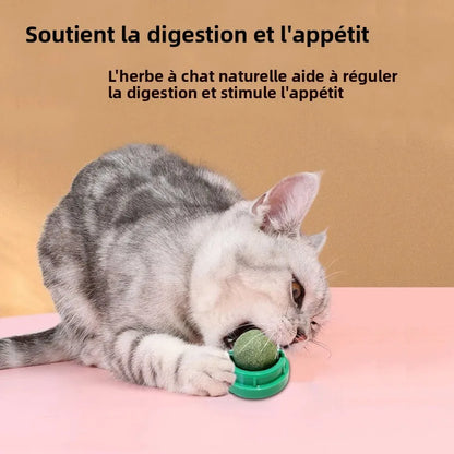 Balle rotative herbe à chat détail 4 — Miaousse