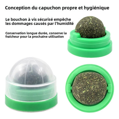 Balle rotative herbe à chat détail 5 — Miaousse
