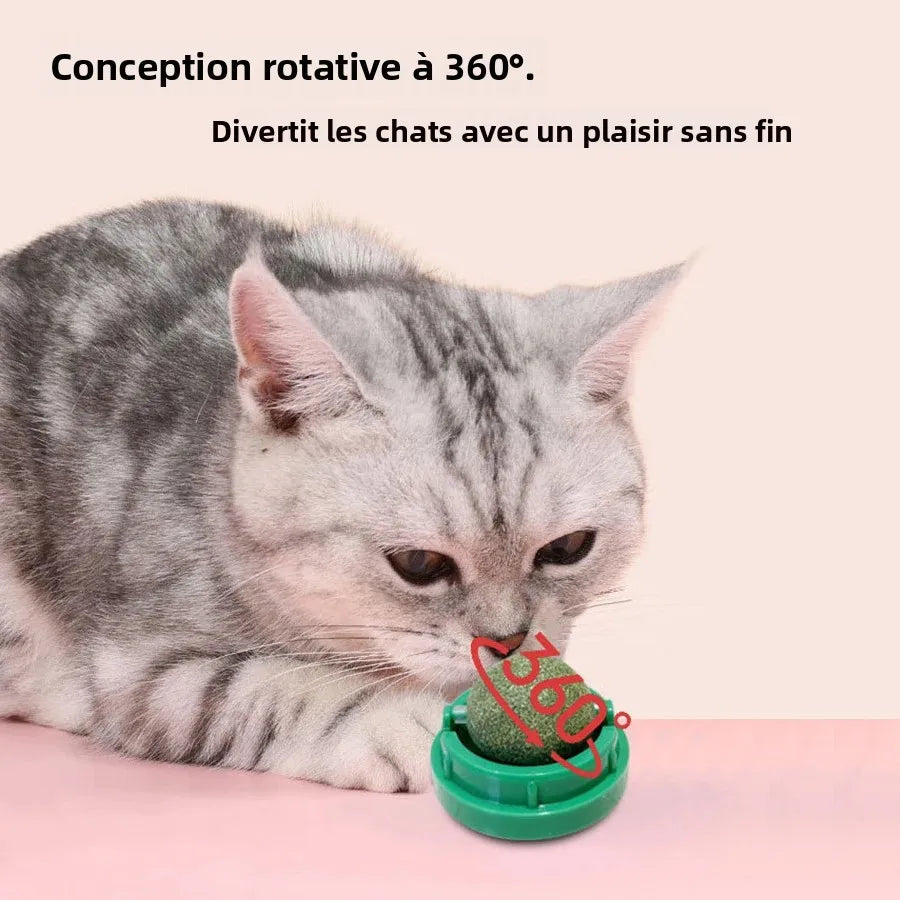 Balle rotative herbe à chat détail 3 — Miaousse
