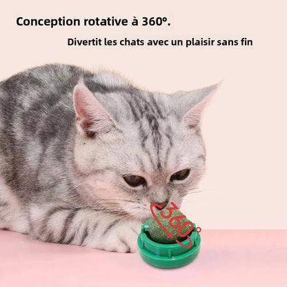 Balle rotative herbe à chat détail 3 — Miaousse