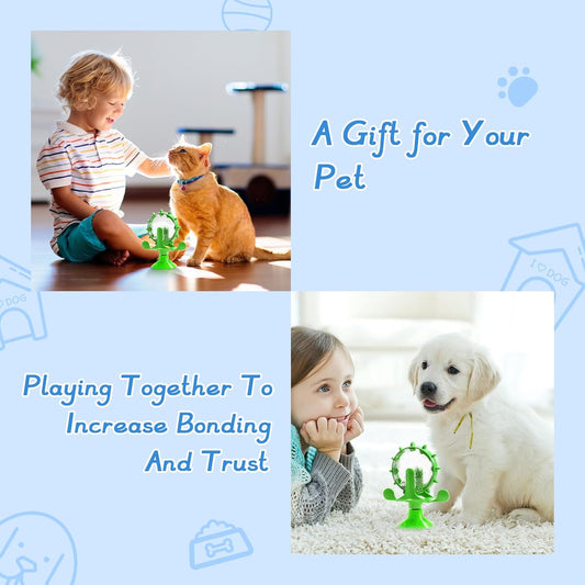 Gamelle puzzle interactive stimulation mentale chat Miaousse